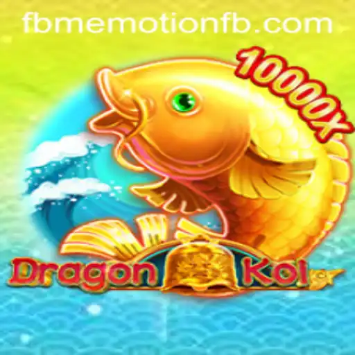 DragonKoi: Dive into the World of FBM EMOTION
